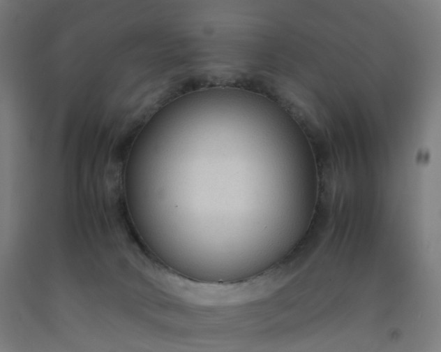 X0000092250034200709281153