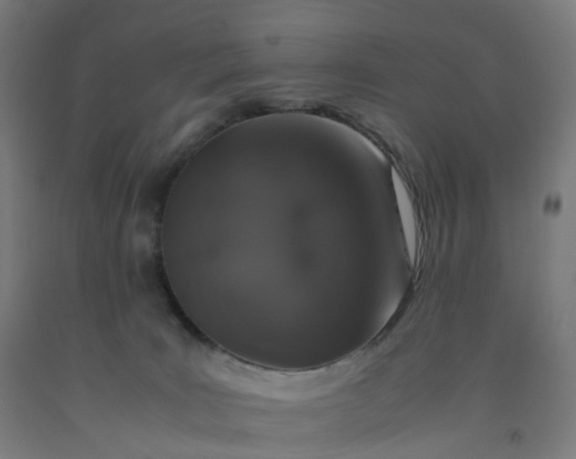 X0000092250035200709281153