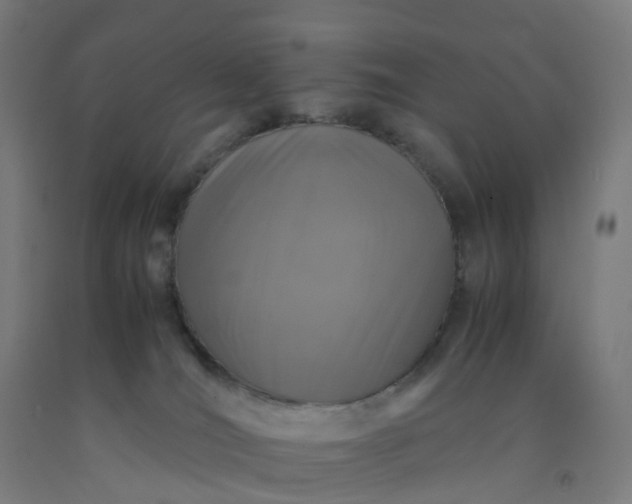 X0000092250036200709281153