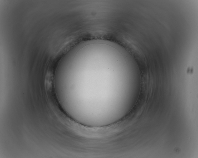 X0000092250038200709281153