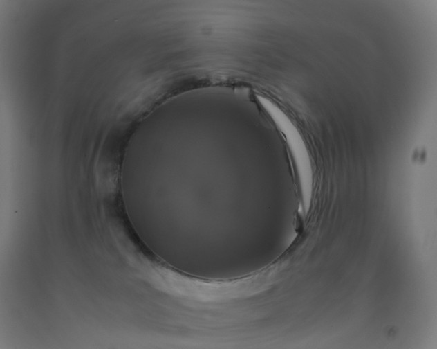 X0000092250039200709281153