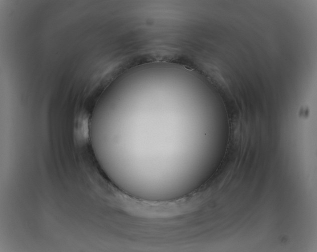 X0000092250042200709281153