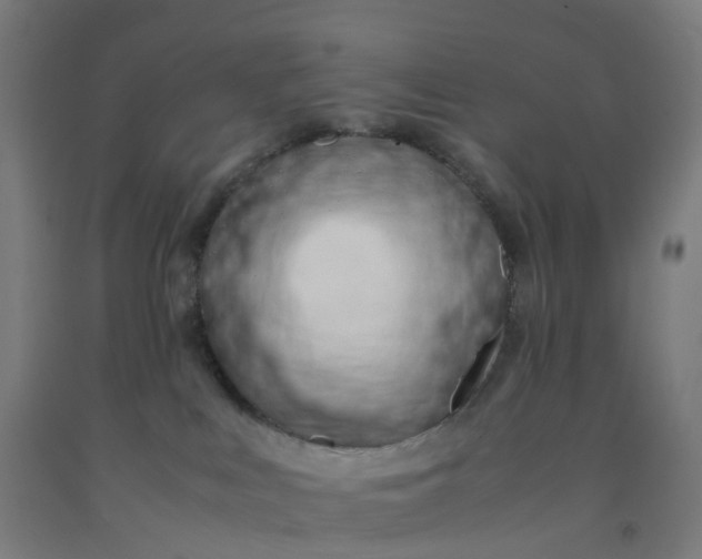 X0000092250043200709281153