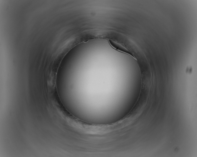 X0000092250044200709281153