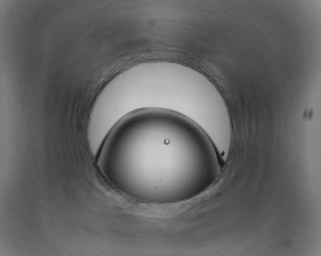 X0000092250045200709281153