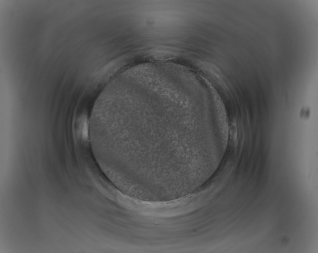 X0000092250046200709281153