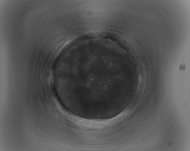 X0000092250048200709281153