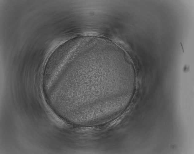 X0000092250049200709281152