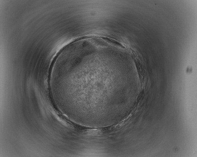 X0000092250050200709281152