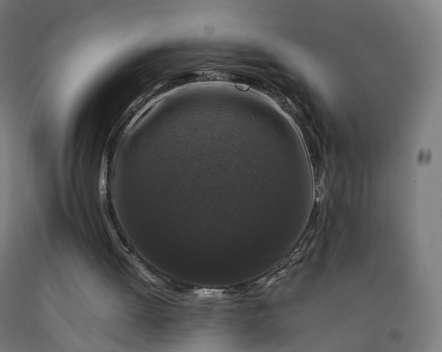 X0000092250052200709281152