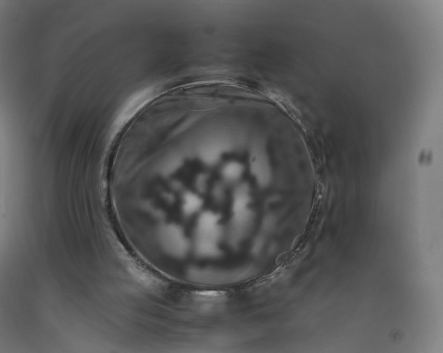 X0000092250053200709281152