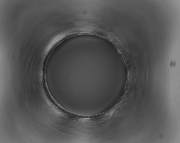 X0000092250054200709281152