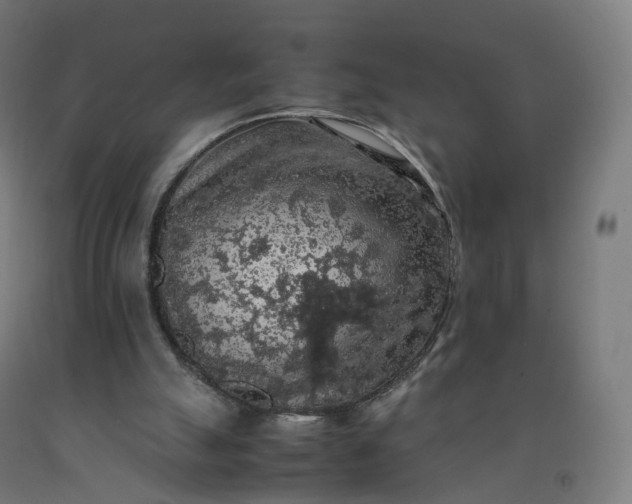 X0000092250055200709281152