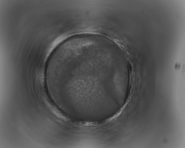 X0000092250056200709281152