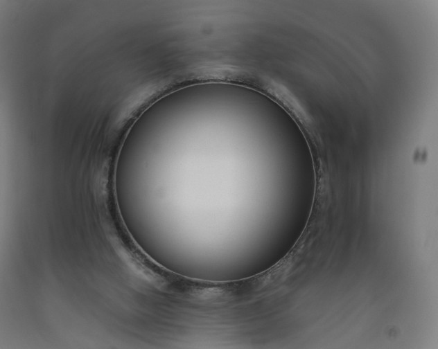 X0000092250058200709281152