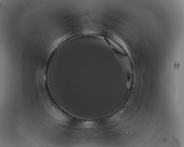 X0000092250059200709281152