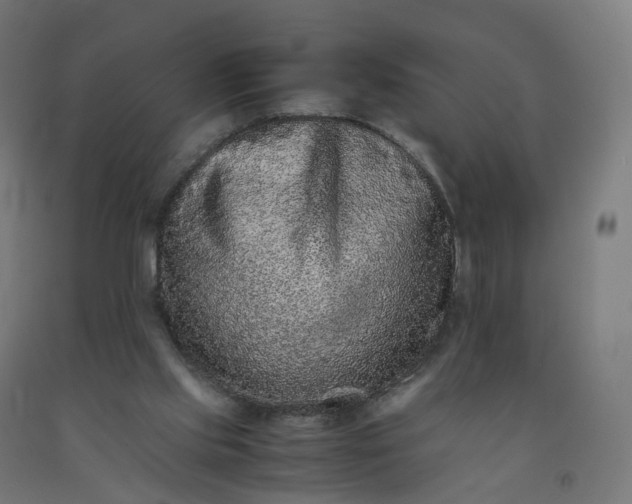 X0000092250061200709281152