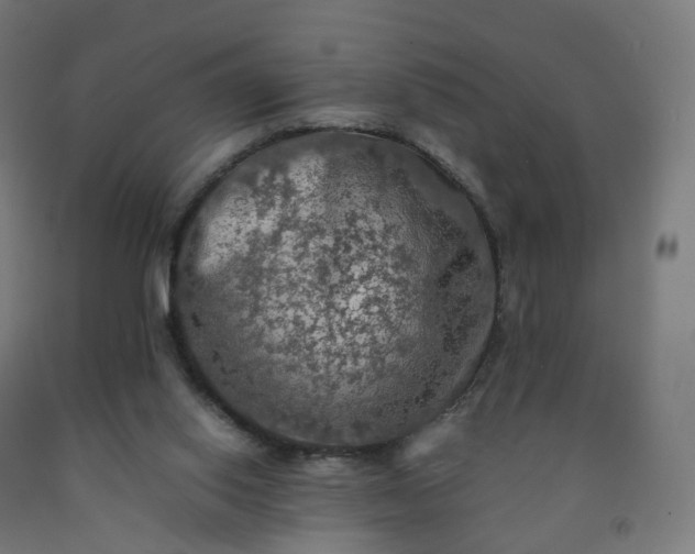 X0000092250062200709281152