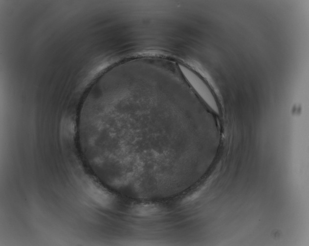 X0000092250063200709281152