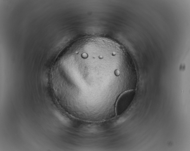 X0000092250065200709281152