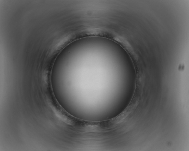 X0000092250066200709281152