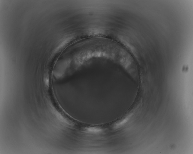 X0000092250067200709281152