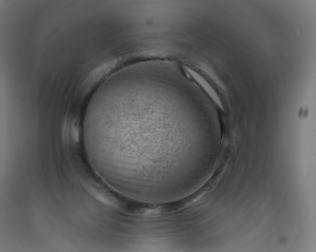 X0000092250068200709281152