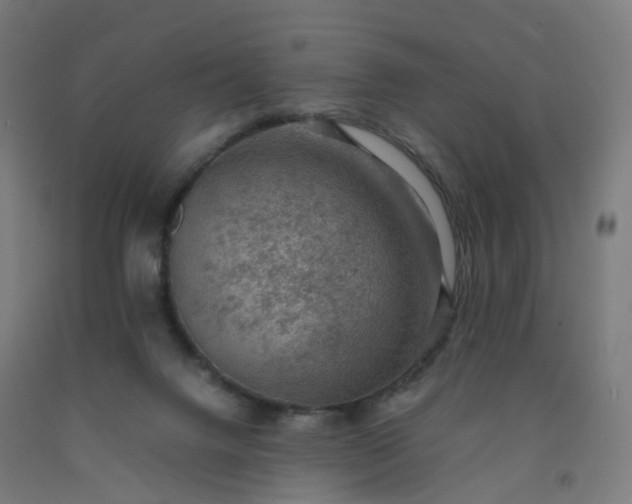 X0000092250072200709281152