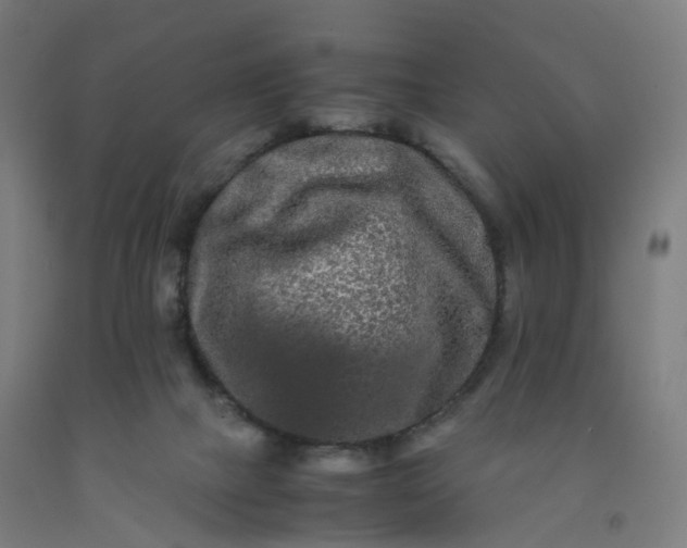 X0000092250073200709281152