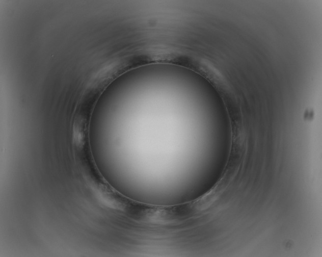 X0000092250074200709281152