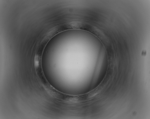 X0000092250075200709281152