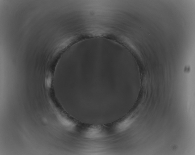 X0000092250076200709281152