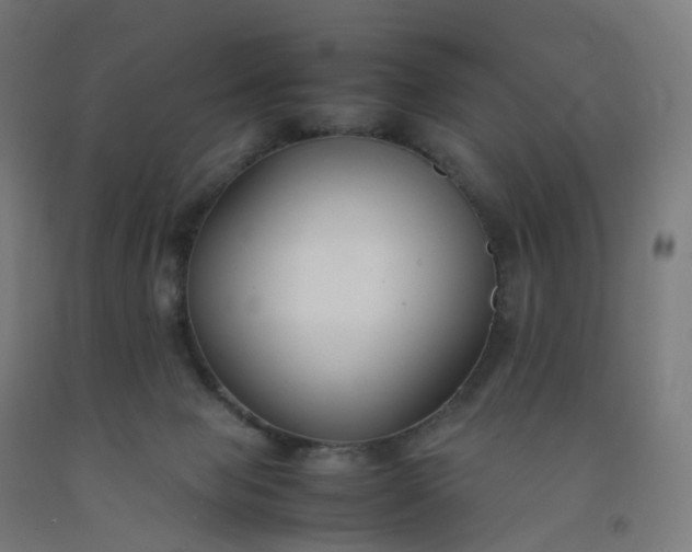 X0000092250077200709281152