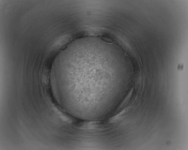 X0000092250078200709281152