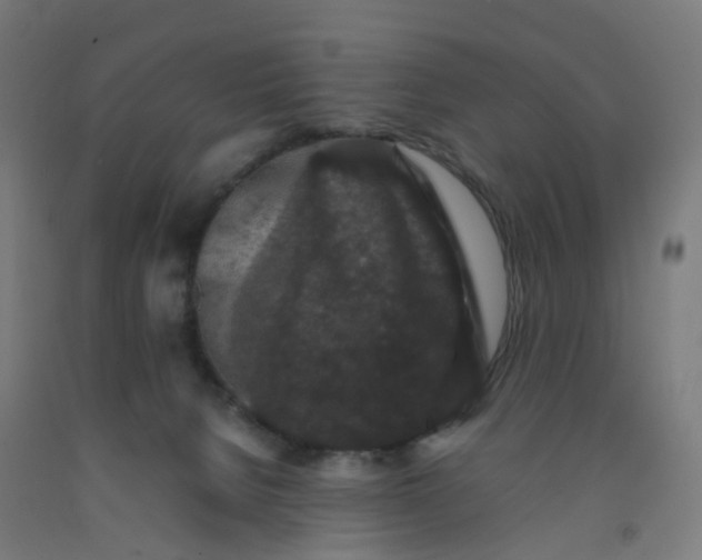 X0000092250080200709281152