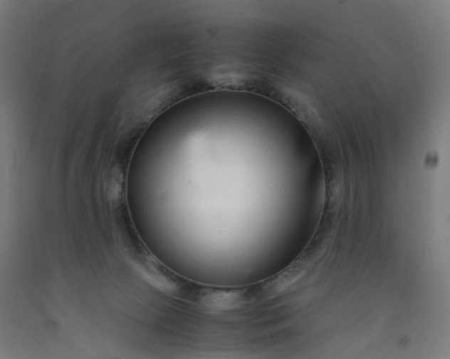 X0000092250081200709281152