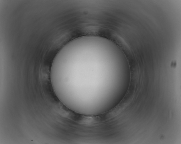 X0000092250083200709281152