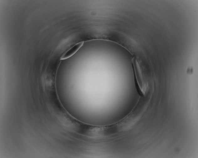 X0000092250084200709281153