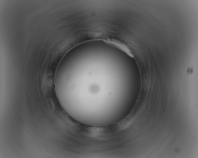 X0000092250085200709281153