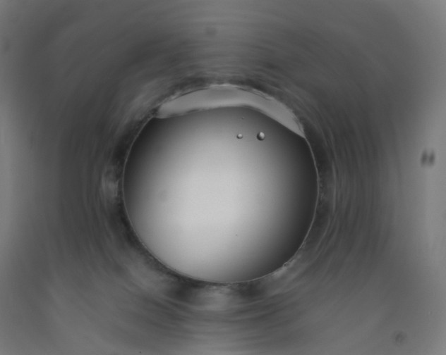 X0000092250086200709281153