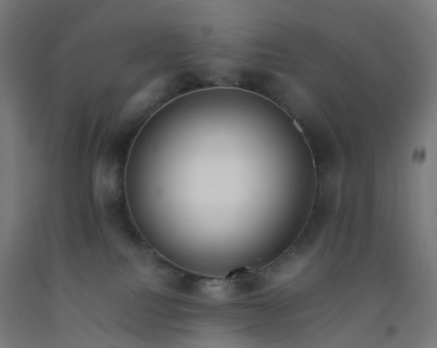 X0000092250088200709281153