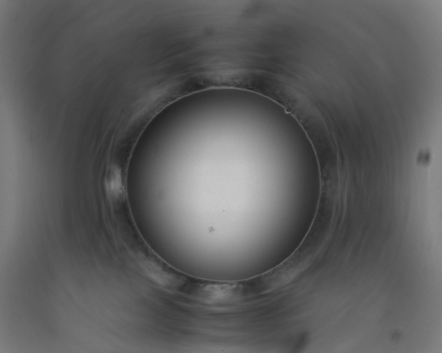 X0000092250089200709281153