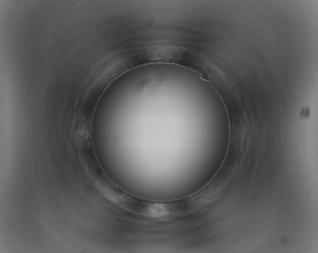 X0000092250091200709281153