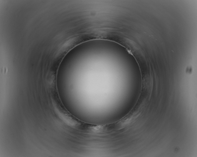 X0000092250092200709281153