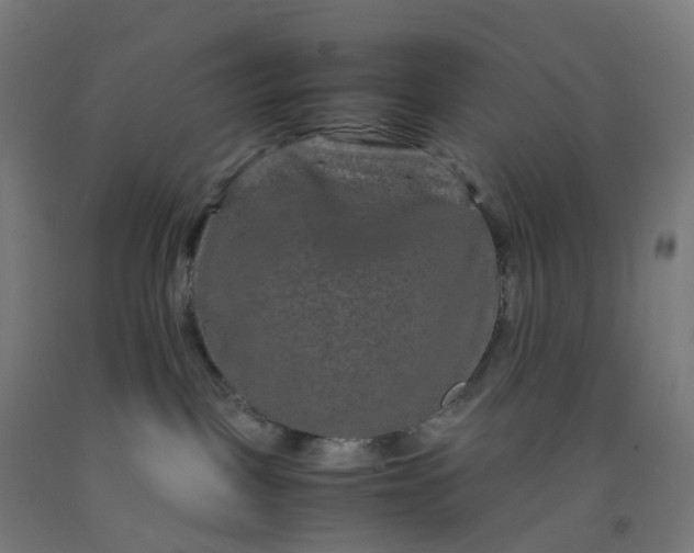 X0000092250093200709281153