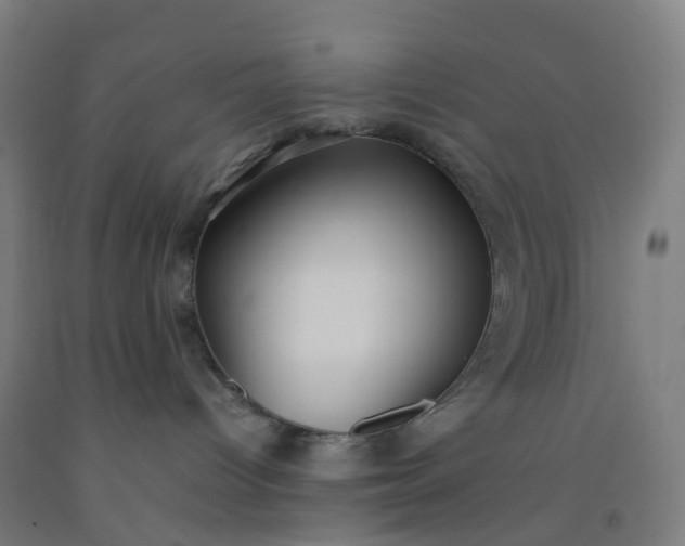 X0000092250096200709281153