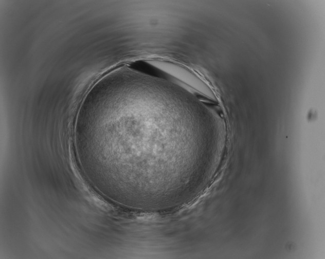 X0000092250097200709281152