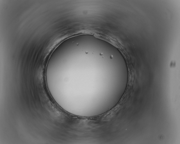 X0000092250098200709281152