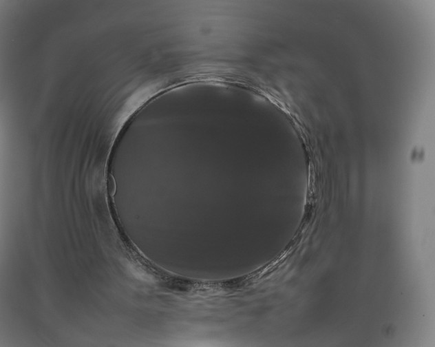 X0000092250099200709281152