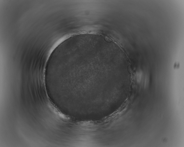 X0000092250100200709281152